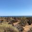  Land for sale in Mincha, Coquimbo, Mincha, Choapa