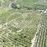  Land for sale in Talagante, Santiago, Talagante, Talagante