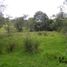  Terrain for sale in Sesquile, Cundinamarca, Sesquile