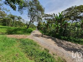  Terrain for sale in Xico, Veracruz, Xico