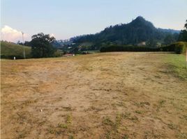  Land for sale in Guatica, Risaralda, Guatica