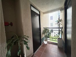 2 Habitación Apartamento en alquiler en Quinta de San Pedro Alejandrino, Santa Marta, Santa Marta