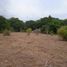  Land for sale in Cienaga, Magdalena, Cienaga