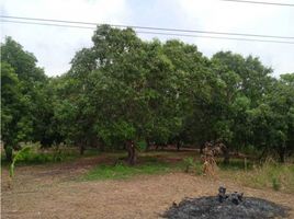  Land for sale in Magdalena, Cienaga, Magdalena