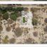  Terreno (Parcela) en venta en La Paz, Baja California Sur, La Paz, Baja California Sur
