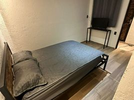 1 Schlafzimmer Wohnung zu vermieten in Valle De Bravo, Mexico, Valle De Bravo