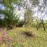 3 Bedroom House for sale in Armenia, Quindio, Armenia