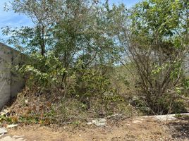  Terreno (Parcela) en venta en Merida, Yucatán, Merida, Yucatán