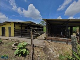 5 Bedroom House for sale in Rionegro, Antioquia, Rionegro