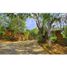  Land for sale in Barichara, Santander, Barichara