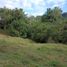  Land for sale in La Mesa, Cundinamarca, La Mesa