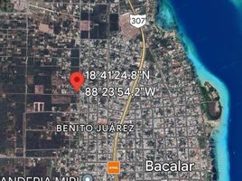  Grundstück zu verkaufen in Othon P Blanco, Quintana Roo, Othon P Blanco