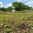  Grundstück zu verkaufen in Othon P Blanco, Quintana Roo, Othon P Blanco
