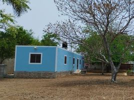2 Schlafzimmer Villa zu verkaufen in Merida, Yucatan, Merida
