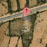  Land for sale in Rioverde, San Luis Potosi, Rioverde