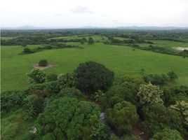  Grundstück zu verkaufen in Anton, Cocle, Juan Diaz