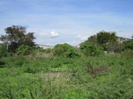  Grundstück zu verkaufen in Miacatlan, Morelos, Miacatlan