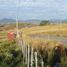  Land for sale in Aisen Del General Carlos Ibanez Del Campo, Coihaique, Coihaique, Aisen Del General Carlos Ibanez Del Campo