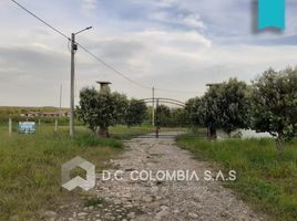  Land for sale in Yopal, Casanare, Yopal