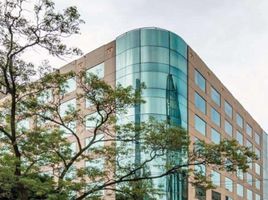 342 m2 Office for rent in Miguel Hidalgo, Mexico City, Miguel Hidalgo