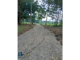  Terreno (Parcela) en venta en Chiriquí, El Bongo, Bugaba, Chiriquí