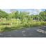  Land for sale in Alanje, Chiriqui, Alanje