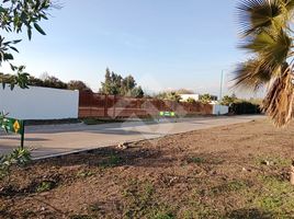  Terreno (Parcela) en venta en Chacabuco, Santiago, Colina, Chacabuco