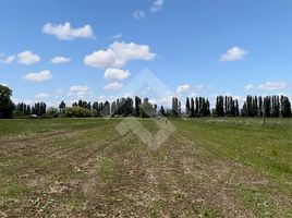  Land for sale in Parral, Linares, Parral