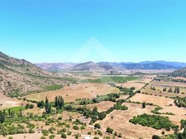  Terrain for sale in Curico, Maule, Sagrada Familia, Curico