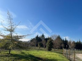  Terreno (Parcela) en venta en Maipo, Santiago, Buin, Maipo