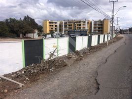  Terreno (Parcela) en venta en Limarí, Coquimbo, Ovalle, Limarí