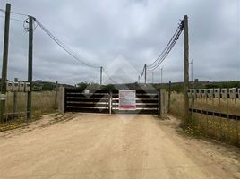  Grundstück zu verkaufen in Cardenal Caro, Libertador General Bernardo Ohiggins, Litueche