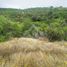  Land for sale in Libertador General Bernardo Ohiggins, Litueche, Cardenal Caro, Libertador General Bernardo Ohiggins