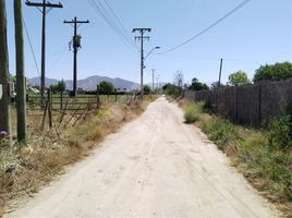  Terreno (Parcela) en venta en Melipilla, Santiago, Melipilla, Melipilla