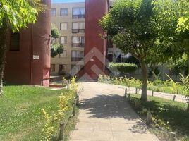 2 Habitación Departamento en venta en Cordillera, Santiago, Puente Alto, Cordillera