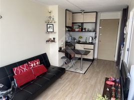 1 Schlafzimmer Appartement zu verkaufen in Cordillera, Santiago, Puente Alto, Cordillera, Santiago