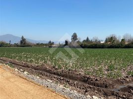  Terreno (Parcela) en venta en Maipo, Santiago, Buin, Maipo