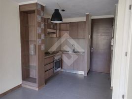 1 Bedroom Condo for rent in Chile, Santiago, Santiago, Santiago, Chile