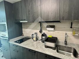 1 Habitación Apartamento en venta en Cordillera, Santiago, Puente Alto, Cordillera