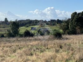  Terreno (Parcela) en venta en Puerto Montt, Llanquihue, Puerto Montt