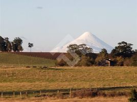  Grundstück zu verkaufen in Llanquihue, Los Lagos, Puerto Varas