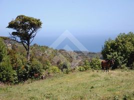  Terreno (Parcela) en venta en Los Muermos, Llanquihue, Los Muermos