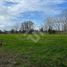  Land for sale in Osorno, Los Lagos, Osorno, Osorno