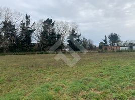  Land for sale in Frutillar, Llanquihue, Frutillar