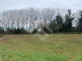  Terreno (Parcela) en venta en Frutillar, Llanquihue, Frutillar