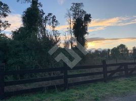  Land for sale in Frutillar, Llanquihue, Frutillar