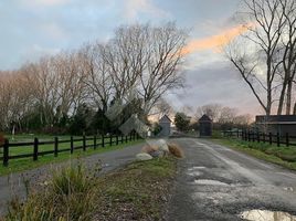  Terreno (Parcela) en venta en Frutillar, Llanquihue, Frutillar