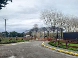  Terreno (Parcela) en venta en Puerto Montt, Llanquihue, Puerto Montt