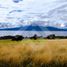  Terrain for sale in Puerto Varas, Llanquihue, Puerto Varas