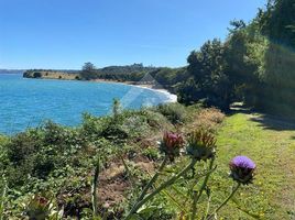  Grundstück zu verkaufen in Llanquihue, Los Lagos, Puerto Montt